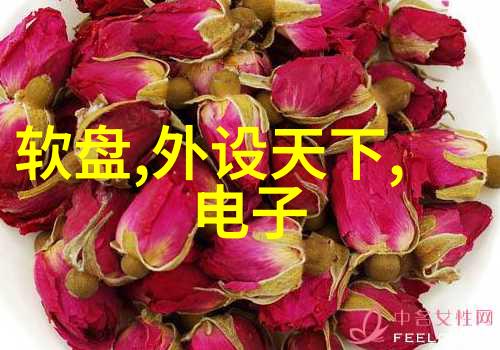 狗情敌忠诚与背叛的双生子