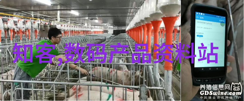 我的绝色总裁未婚妻爱情与权力的交错篇章