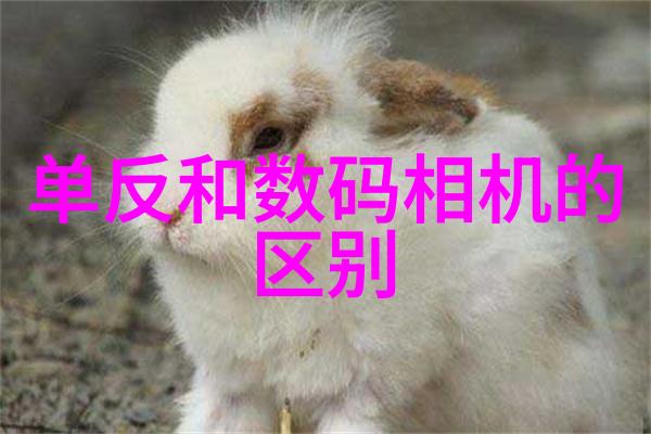 京城清澈北京市水质检测机构的守护使命