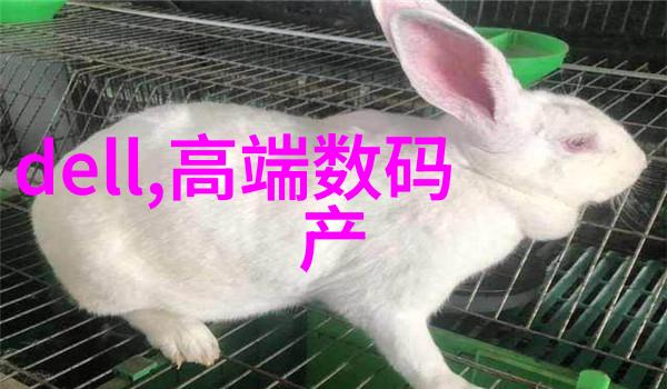 大型自来水过滤设备-城市清新源揭秘大型自来水过滤设备的工作原理与技术进步