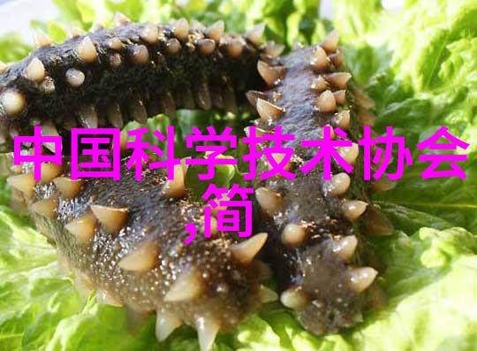 机械设备-立式辊磨机高效细磨的精密工艺器具
