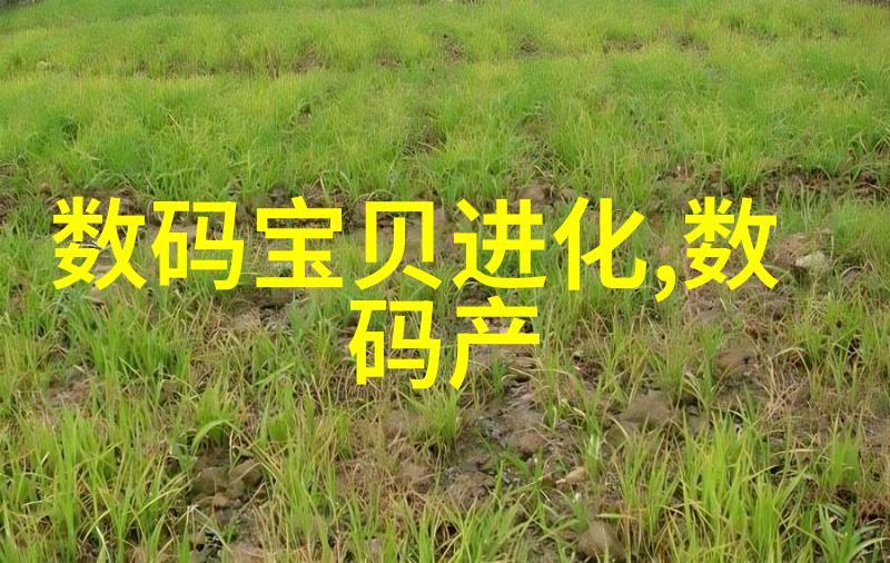 基础设施建设中不可或缺的一环城市供水系统的多种检测项目