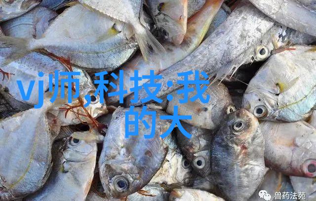 化学反应过程中使用的特殊制冷技术概述