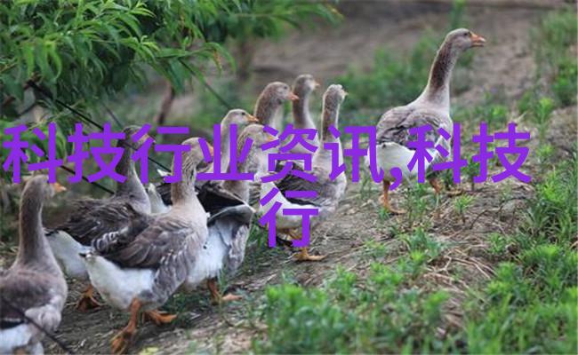 探索邻里不锈钢加工产业链的魅力从原料到成品的全方位走访