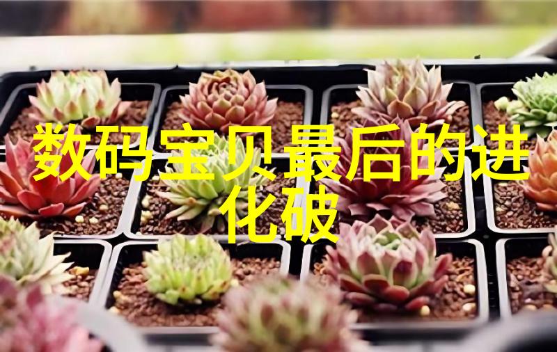 搅动时空500L搪瓷反应釜的旋涡之舞