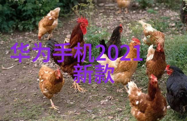 不锈钢波纹填料重量选择专业金属网格填充物的质量标准