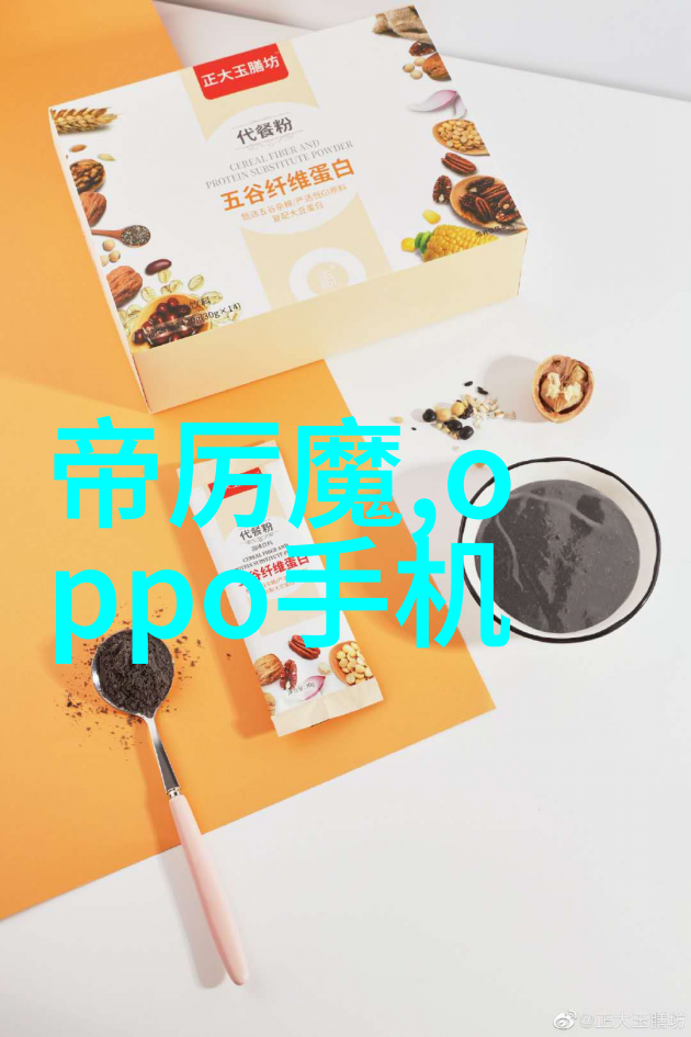 固定流化床反应器物料循环的舞蹈