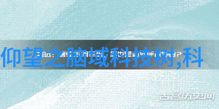 车站末班公交车尾排的无声游戏
