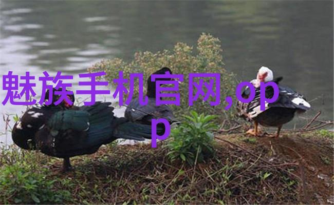 灭菌设备的精妙从事务繁忙到无菌完美