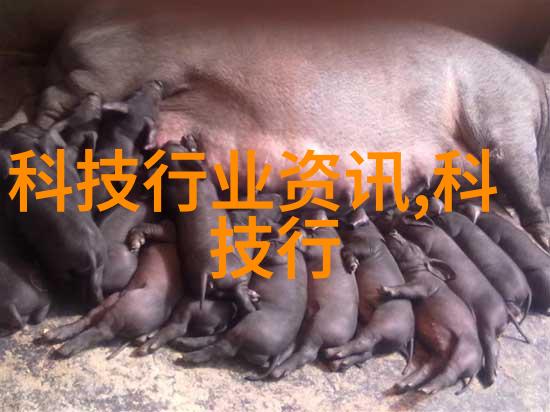 蜜芽tv跳转接口点击进入免费我来试试这次的新功能吧