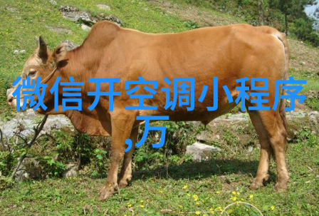 金鼎杀菌釜家用健康的守护者