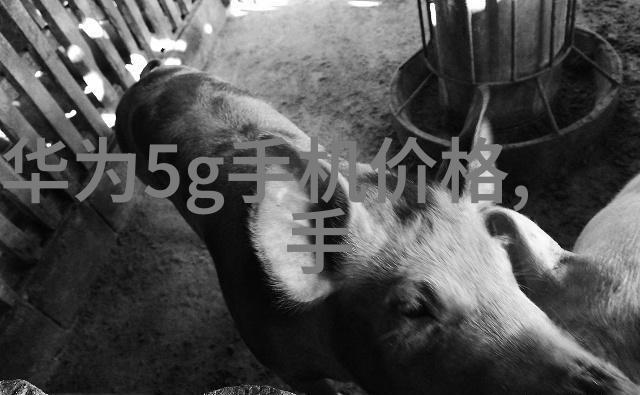 家庭聚会的温馨场所大客厅装修设计技巧探究