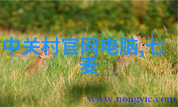 数码宝贝第1季普通话独播75派618大促爆款智能运动产品数不胜数超级优惠连连来买得越多省得越多你还等
