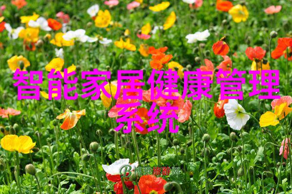 天津中德应用技术大学桥梁学院跨界创新