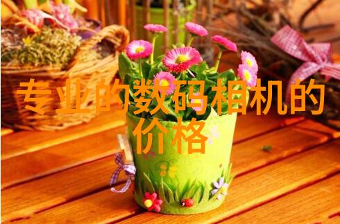 干燥不停设备连续笑傲干物界的奇迹机器