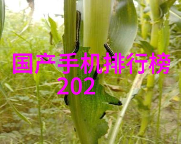 波动之翼T型波纹填料的反差篇