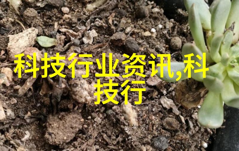 小米和爷爷和爸爸宴会第一章-家庭团圆一场温馨的聚餐