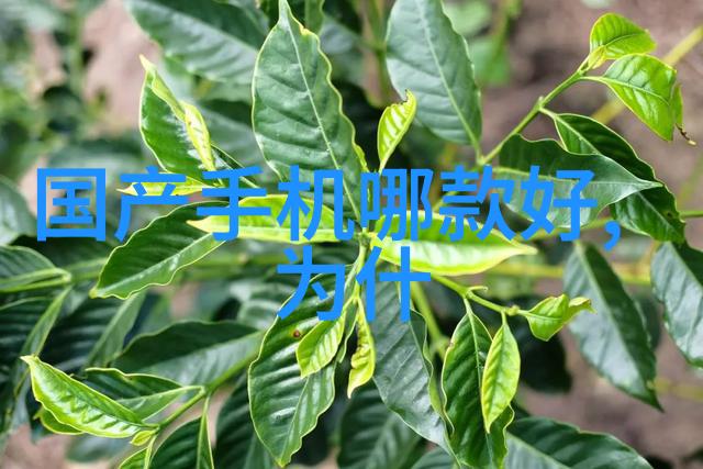 真空食品杀菌设备综述技术发展与应用前景