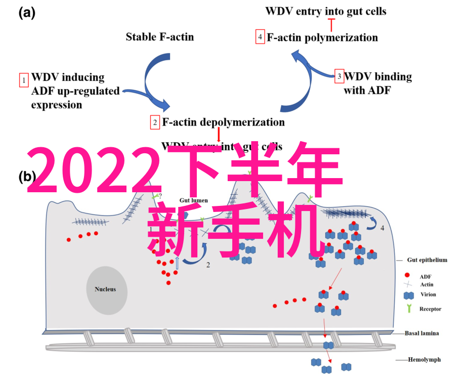 注射剂机械在制药行业中的地位如何