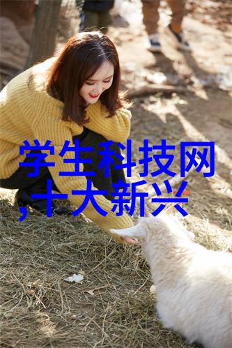 工业干燥设备背后的科技之谜