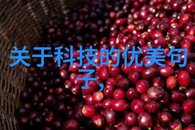 填料塔的奥秘探索其构造与作用机理