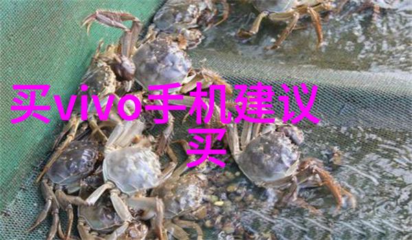 空压机油水分离过滤器我的两全其美之选