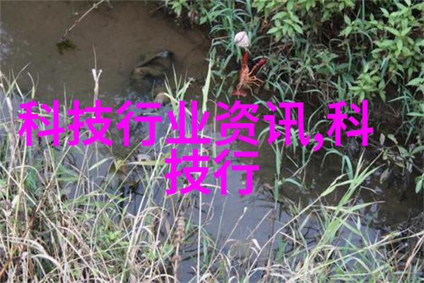 流水线输送设备我的生产线的心脏