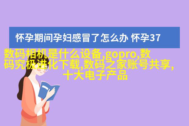 便携式充电器