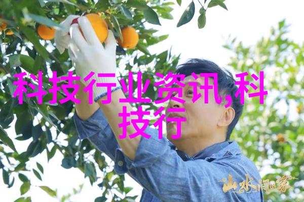 当前市场上对水利水电工程师人才需求的变化趋势是什么