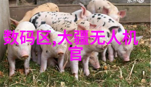 机器心脏的柔情