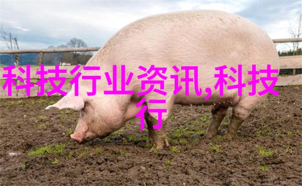 吸附剂物质世界中的黏力大师