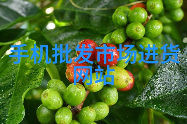 在古老文明遗迹中我们常常发现了大量的石制或陶土制砖是什么原因导致这种建筑方式成为了普遍趋势