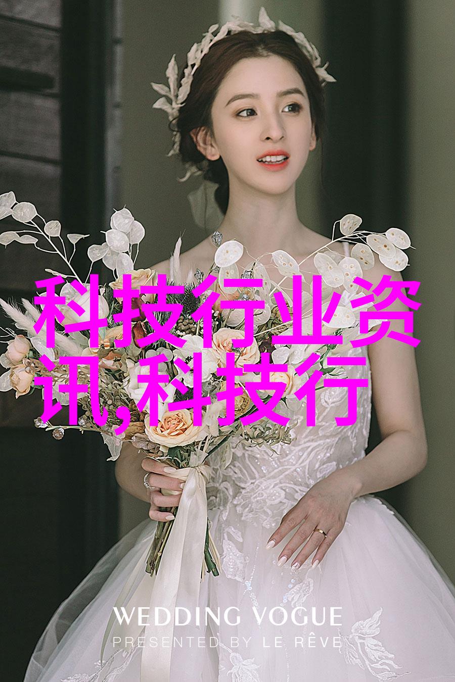 水之纯净机器之心脏抽象的纯化水制水机组