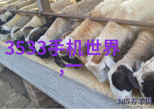 机翼之下联动的翅膀中国汽配联盟网的纵横交错