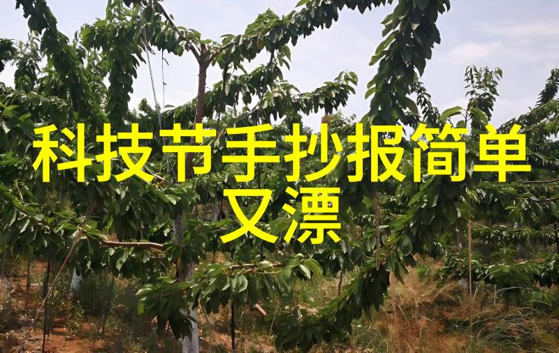 在设计时我们应该考虑哪些因素来优化Aspen固定床反应器性能