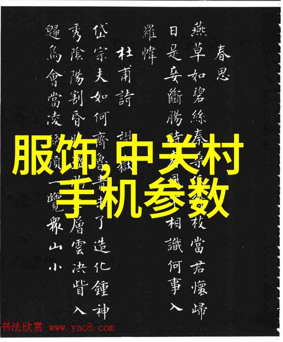 电蒸汽发生器蒸箱的升级换代新技术为烹饪带来更多可能