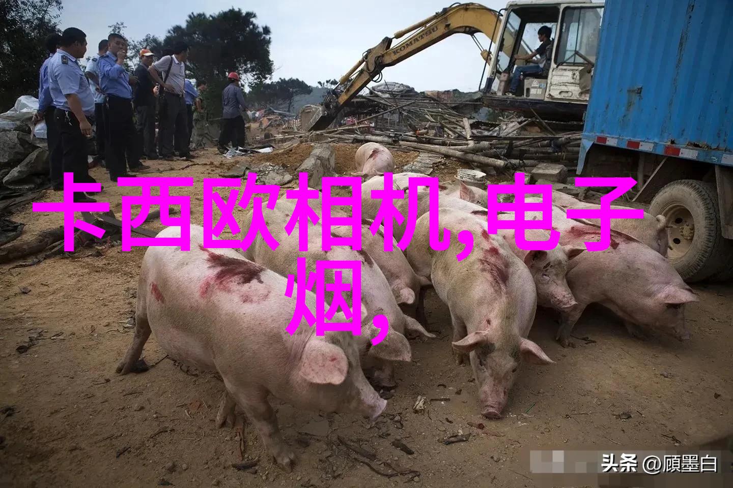 化工丸剂机械-精细颗粒制造技术的最新进展