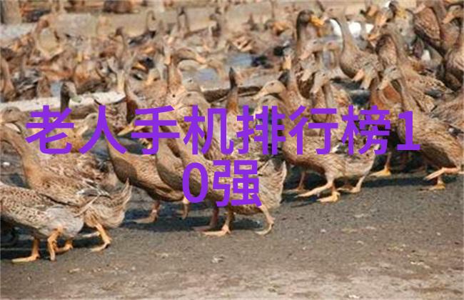 危废处置第三方服务公司是如何评估风险的