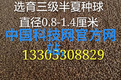 冶金行业中的非金属矿物制品