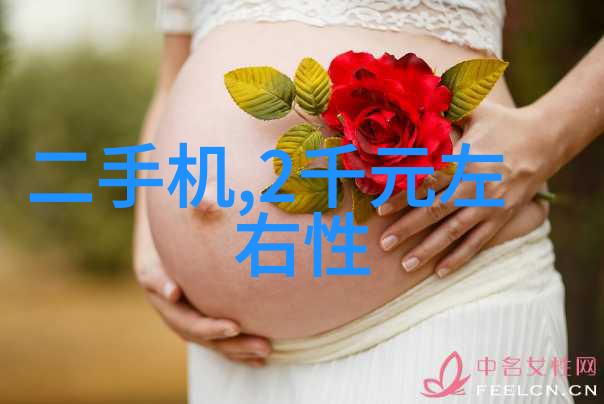 三瓣六瓣填料安装指南确保安全与效率