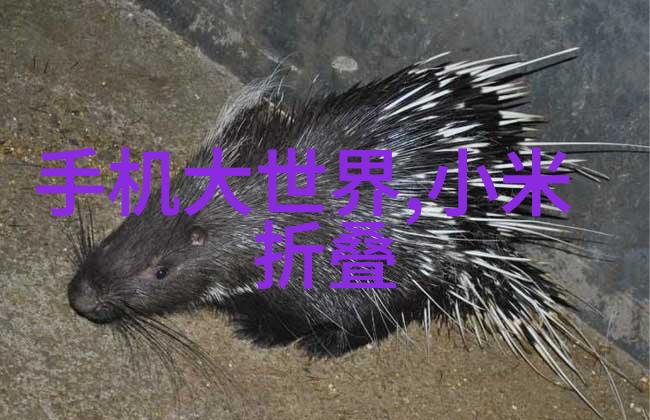 情人节小记我怎么忘了8.14号是情人节