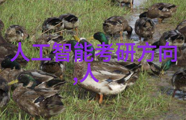 冷气贮藏设备保障食品安全的重要伙伴