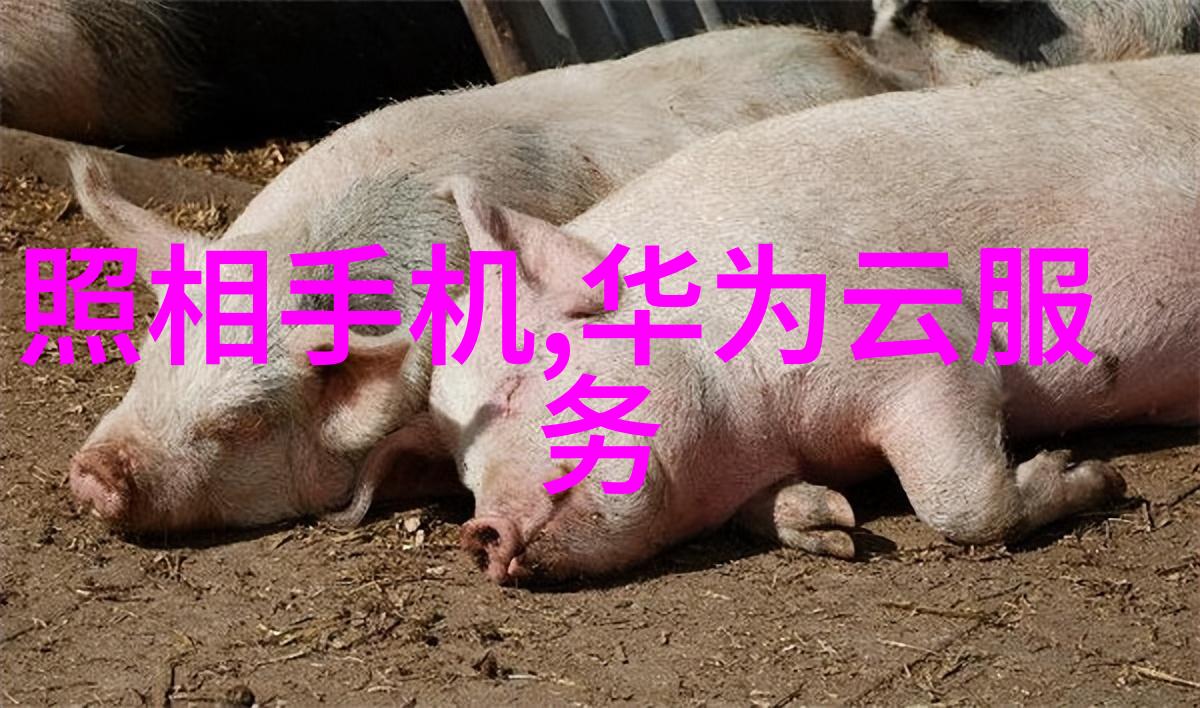 传统中式家具在现代家庭中依然有哪些应用价值