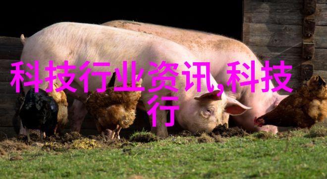 深圳职业技术学院深职院的科技与创新