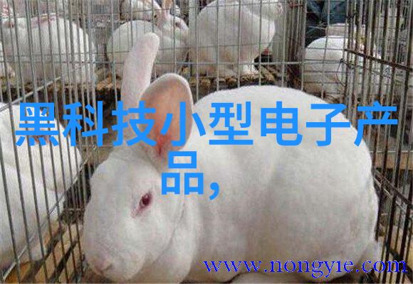 不锈钢小件加工服务寻求合作伙伴