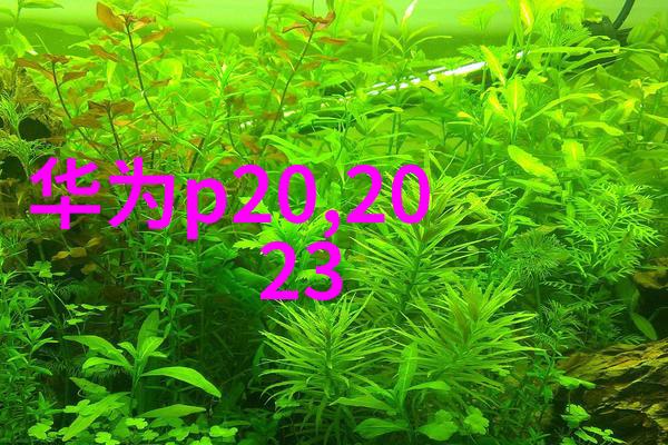 绿色喷漆未来之光揭秘环保设备的奇迹