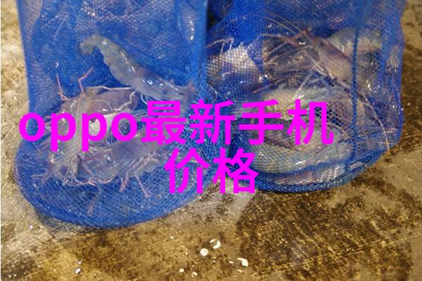 中国建设教育协会引领未来铸就卓越