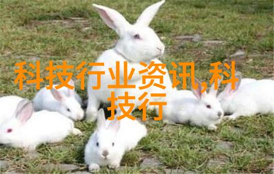 姬小满泪崩高清图片心动的瞬间美丽的表情