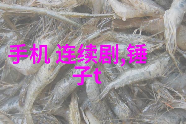 在无限游戏里花式挨CH视频我的不朽冒险记