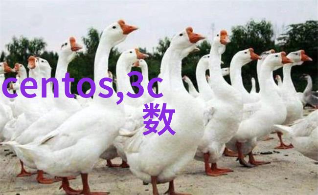 在医疗的前沿专业医疗器械能否成为疾病预防的新希望